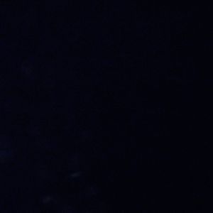 Meet your Posher, Demetric